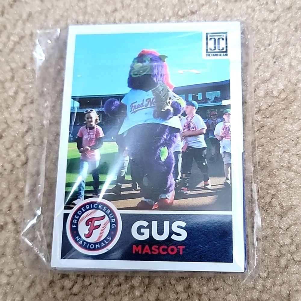 Fredericksburg Nationals Baseball Collectors Cards - 2023 Player Set